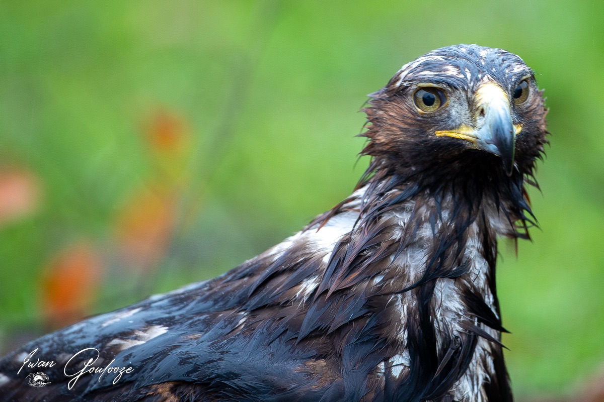 1DX45813 12 december 2021 1137 42